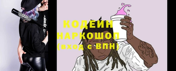 мдпв Горнозаводск