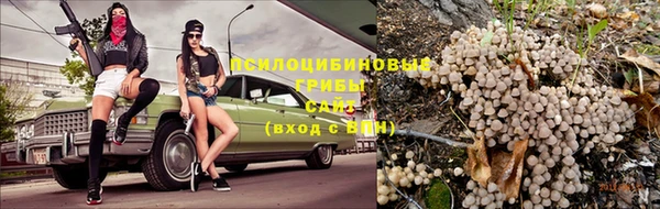 мяу мяу мука Вязники