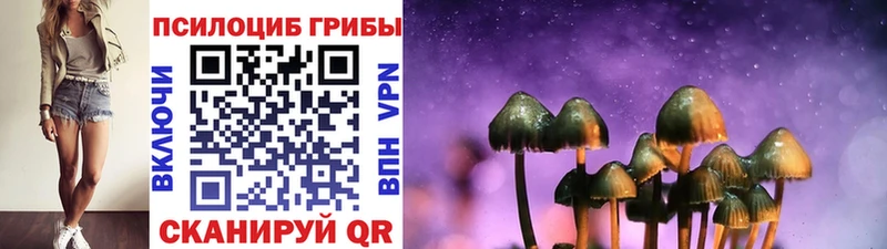 где купить наркотик  Ивангород  Галлюциногенные грибы Psilocybe 